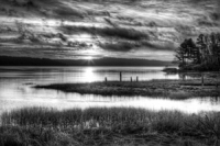 New Work Landscape